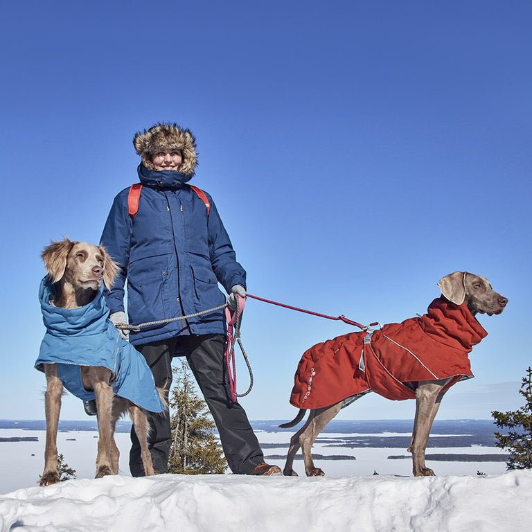 HURTTA Extreme Warmer V3 ECO - ACTIVEDOG.CH - Wir lieben Outdoorhunde!