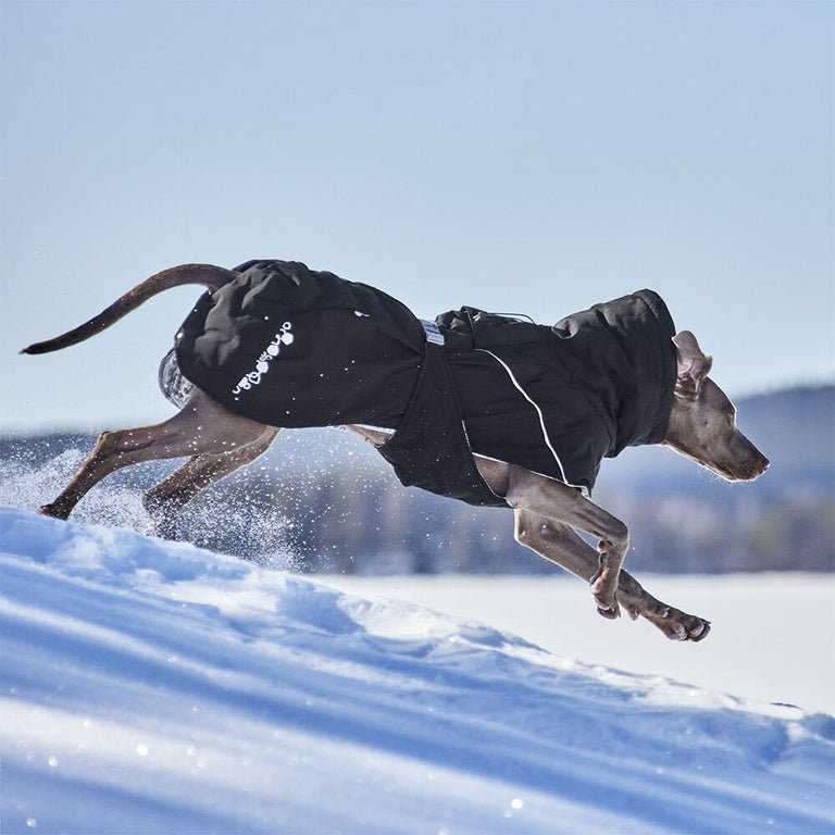 HURTTA Extreme Warmer V3 ECO - ACTIVEDOG.CH - Wir lieben Outdoorhunde!