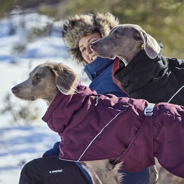 HURTTA Extreme Warmer V3 ECO - ACTIVEDOG.CH - Wir lieben Outdoorhunde!